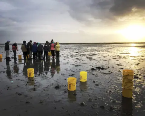 William & Mary expands new climate-focused major, deepens coastal research with $100 million gift