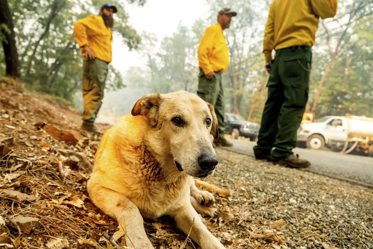 California's largest wildfire explodes in size as fires rage across US West