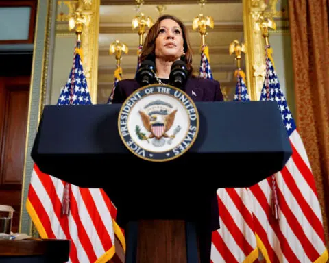 More than 160,000 people join white women for Kamala Harris Zoom call