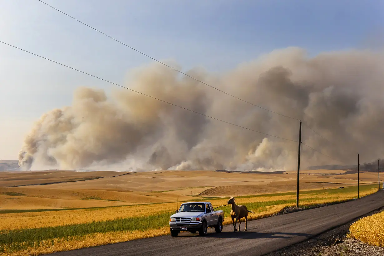 California's largest wildfire explodes in size as fires rage across US West