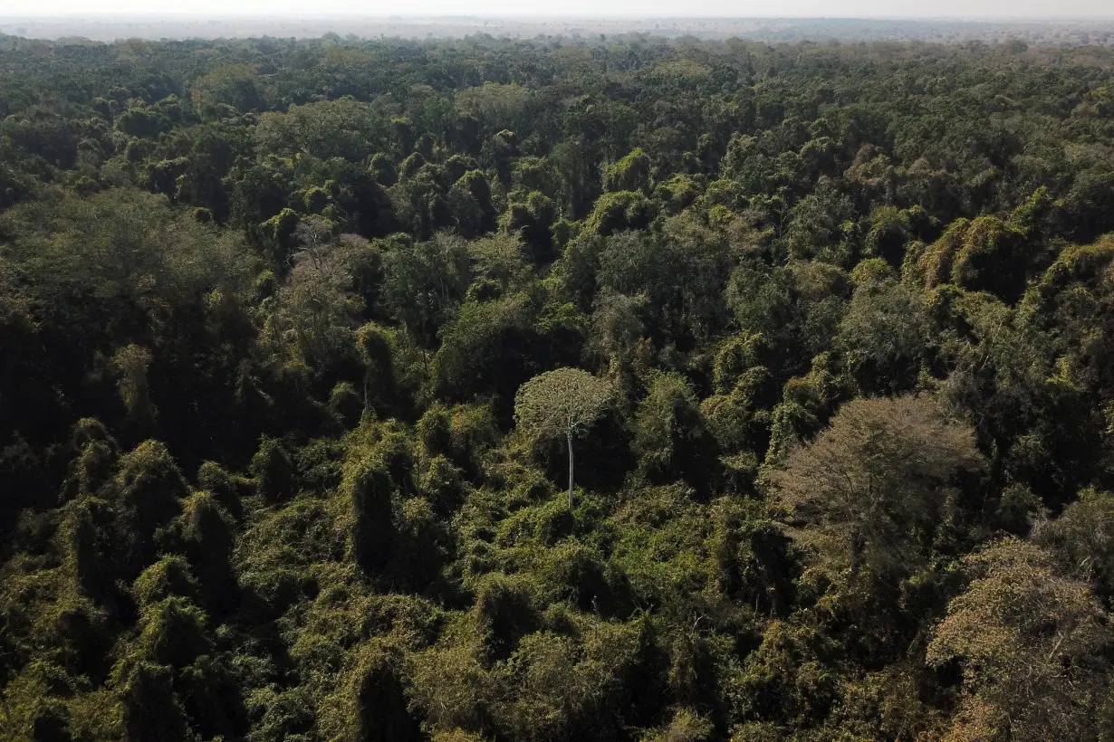 Scientists from the State University of Mato Grosso identify signs of climate change on the border between Amazonia and Cerrado