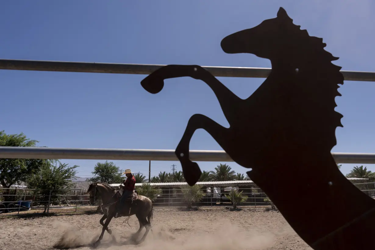 APTOPIX Date Palm Ranch Weddings