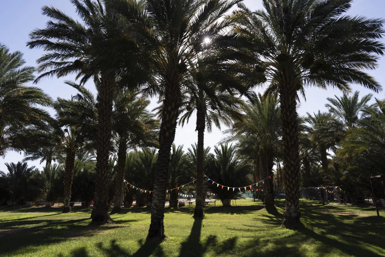 California date palm ranches reap not only fruit, but a permit to host weddings and quinceañeras