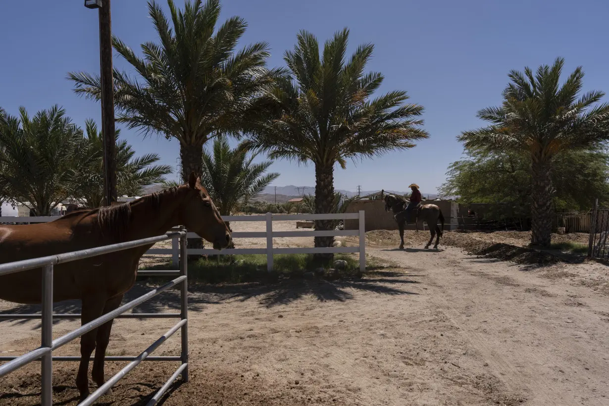 California date palm ranches reap not only fruit, but a permit to host weddings and quinceañeras