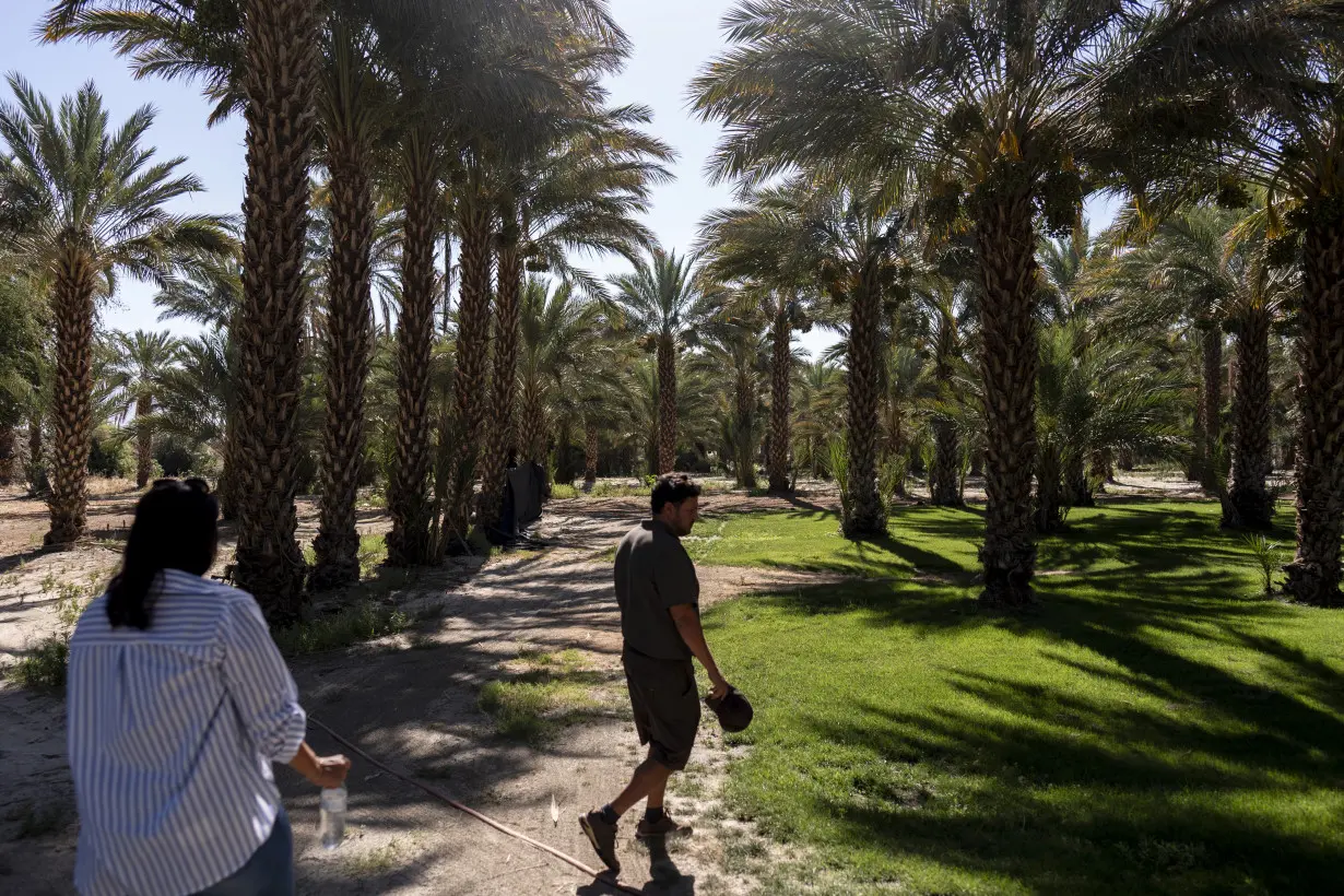 California date palm ranches reap not only fruit, but a permit to host weddings and quinceañeras