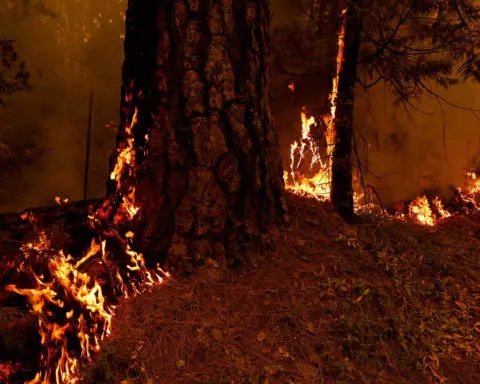 California wildfire explodes, becomes largest in US