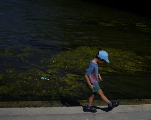 Paris officials are confident water quality will improve to let Olympians swim in the Seine