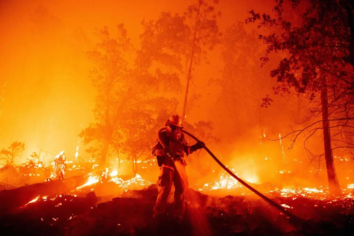 Long-term exposure to wildfire smoke linked to increased risk of dementia diagnosis, new study finds