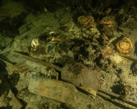Champagne galore! Shipwreck gives Polish divers something to celebrate