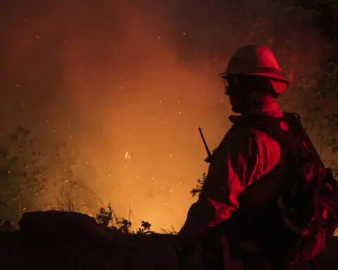 Wildfire smoke may be worse for your brain than other air pollution, study says