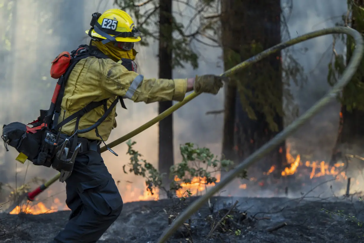 Wildfire smoke may be worse for your brain than other air pollution, study says