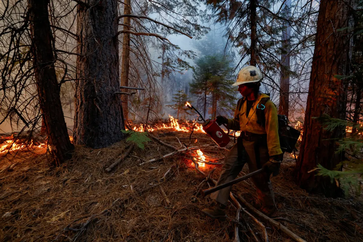 Park Fire grows to California's sixth largest wildfire ever