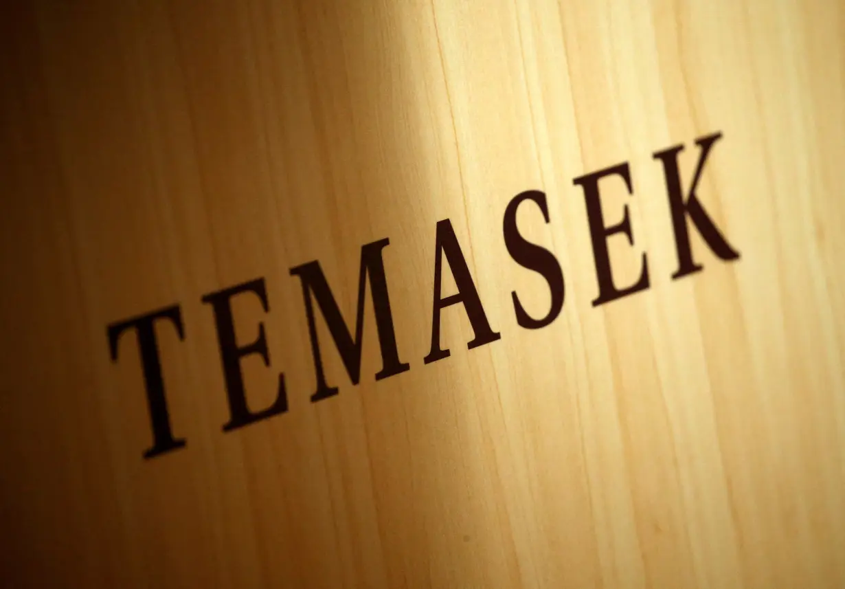 FILE PHOTO: A Temasek logo is seen at the annual Temasek Review in Singapore