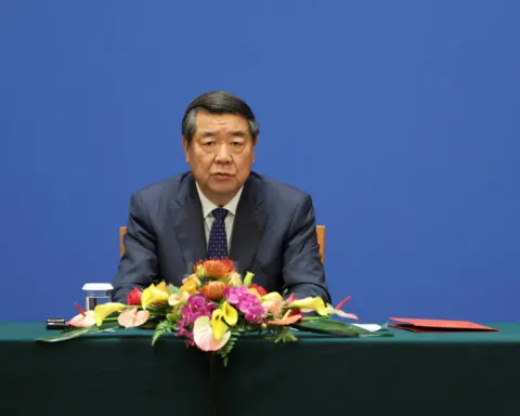 China's 'new productive forces' need government, market efforts: vice premier