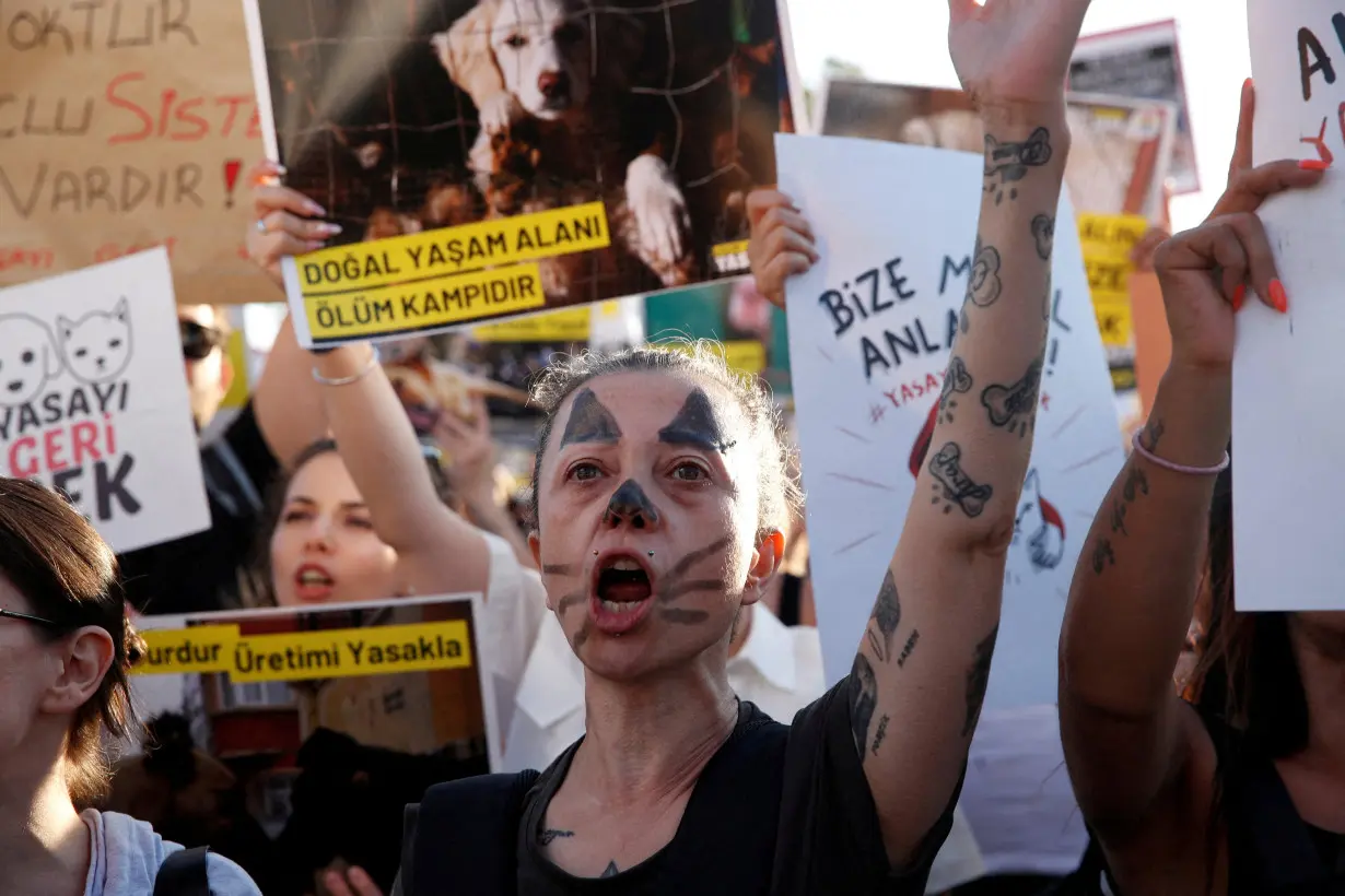 FILE PHOTO: Animal rights activists take part in a rally in Istanbul