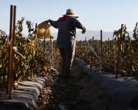 Record heat is set to drive the cost of fruits and vegetables higher