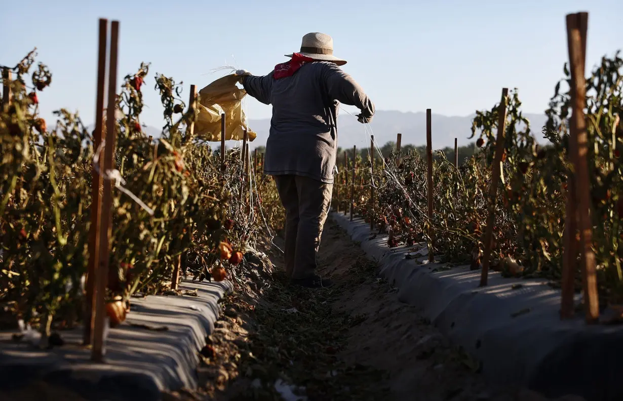 Record heat is set to drive the cost of fruits and vegetables higher