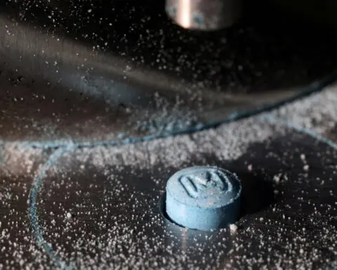 Biden calls for bigger penalties, more controls to fight US fentanyl crisis