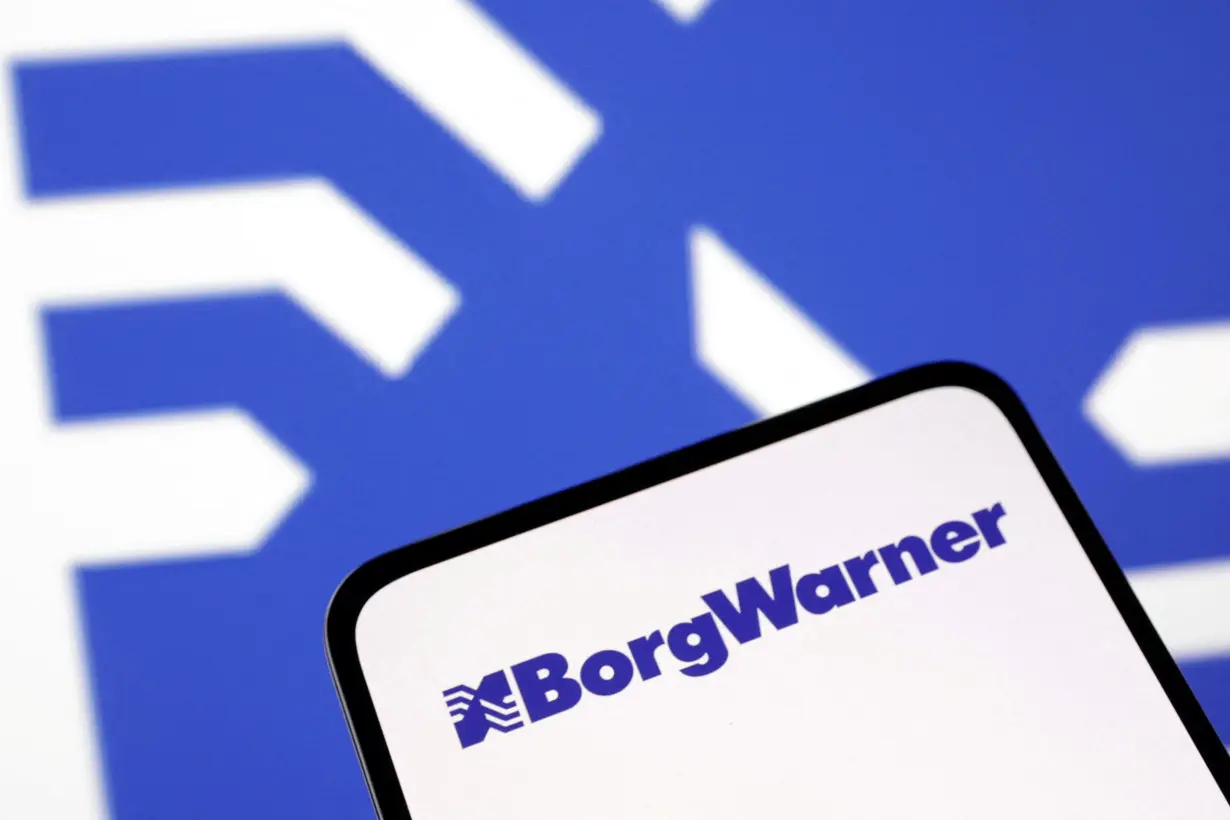 FILE PHOTO: Illustration shows BorgWarner Inc logo