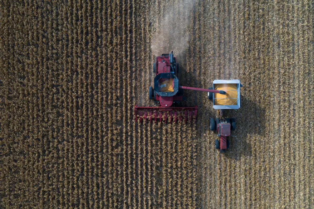 FILE PHOTO: Grain farmers harvest corn in Marion, Texas, U.S.