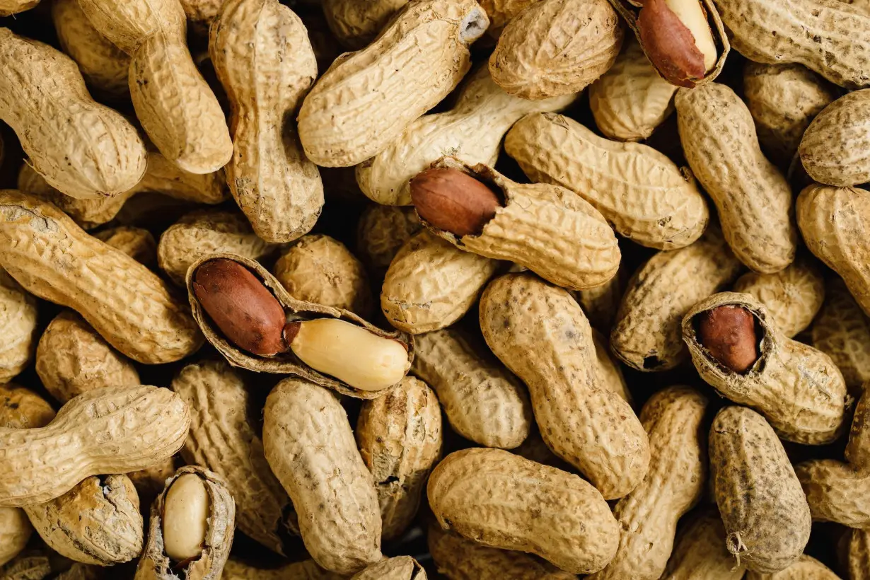 Australia launches peanut allergy immunotherapy program for babies in world first