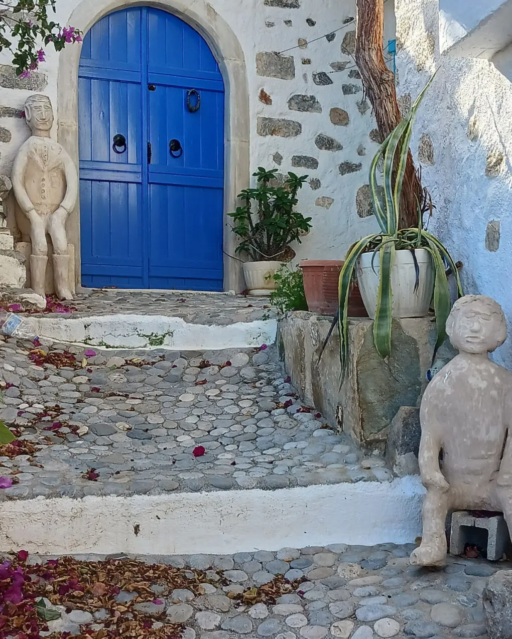 Patricia Mahan and Dan Matarazzo left Tucson, Arizona to live Mexico in 2006, before buying a home, pictured, in Kritsa, Crete last year and relocating there.