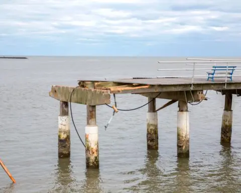 Hotel clerk attacks guests before driving car off pier