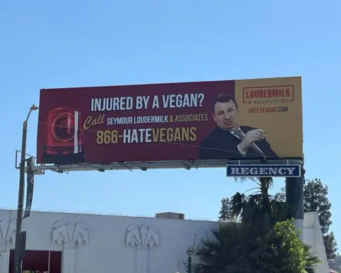 Better call Saul... for vegan advice? The witty billboard turning heads