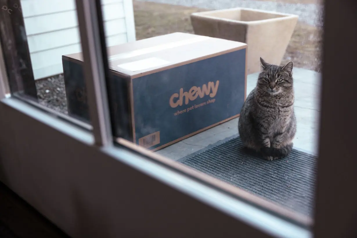 Chewy shares fall after surging on revelation of ‘Roaring Kitty’ meme trader’s 6.6% stake