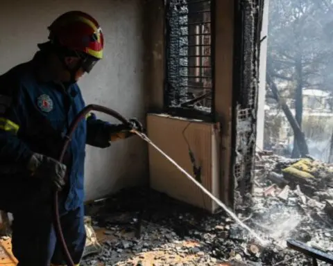 Security footage captures dog starting fire on stovetop as family sleeps