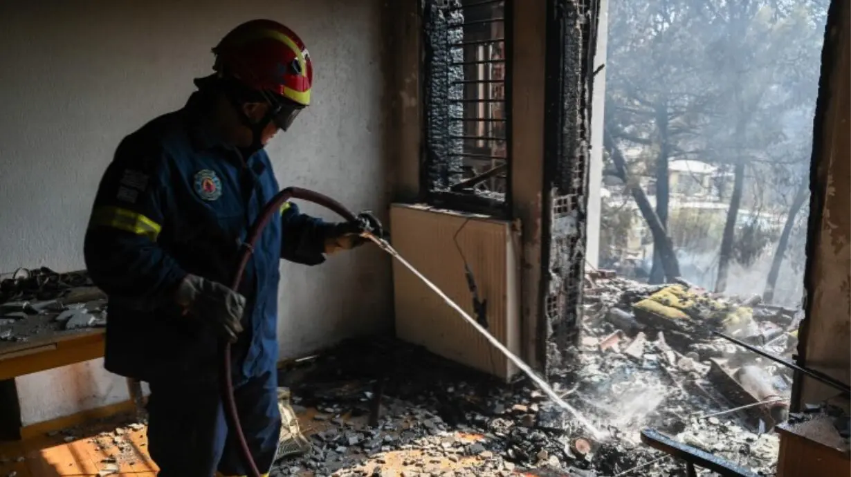 dog starting fire on stovetop as family sleeps