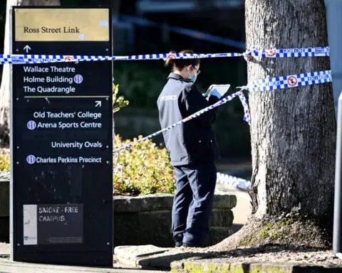 Australia police arrest teenage boy after stabbing at Sydney university