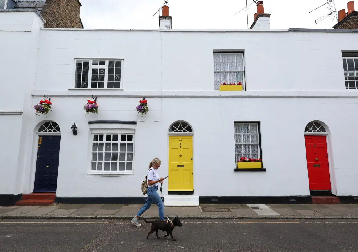 A woman walks a dog past house doors painted blue, yellow and red, ahead of Britain's general election, in London