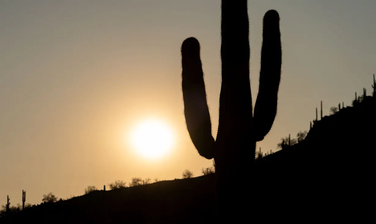 In the hottest big city in the US, where sunbaked concrete sprawls across bone-dry desert, Phoenix is setting records in both high temperatures and body count — and learning the hard way that it's not just the heat, it's the vulnerability.