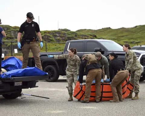 Sea lions are stranding themselves on California's coast with signs of poisoning by harmful algae