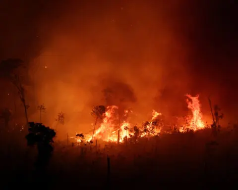 Fires in Brazil's Amazon rainforest for July surge to highest in two decades