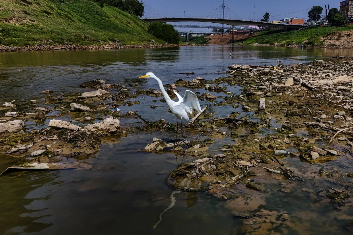 Brazil Amazon Drought