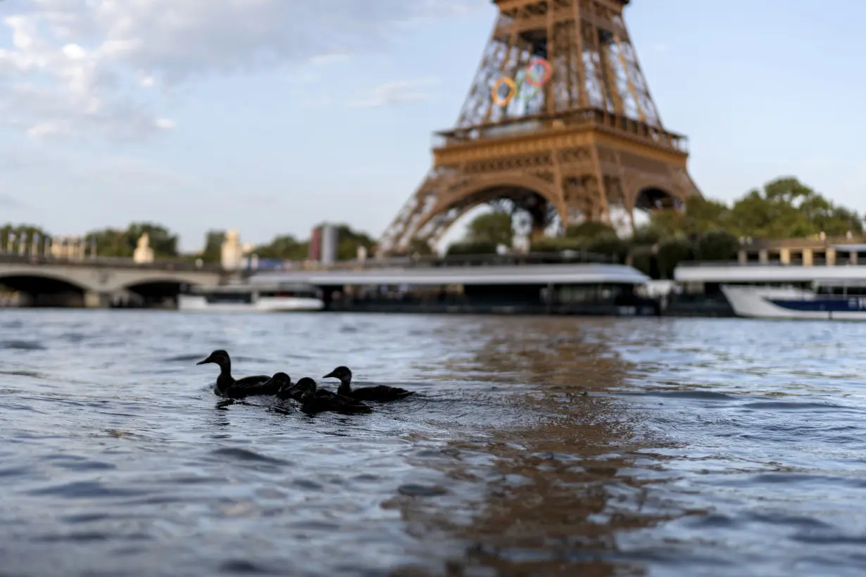 Paris Olympics