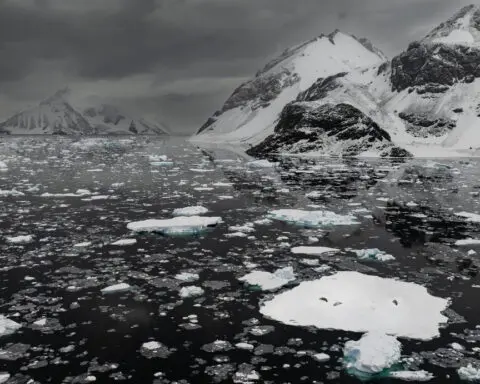 ‘Astonishing’ Antarctica heat wave sends temperatures 50 degrees above normal