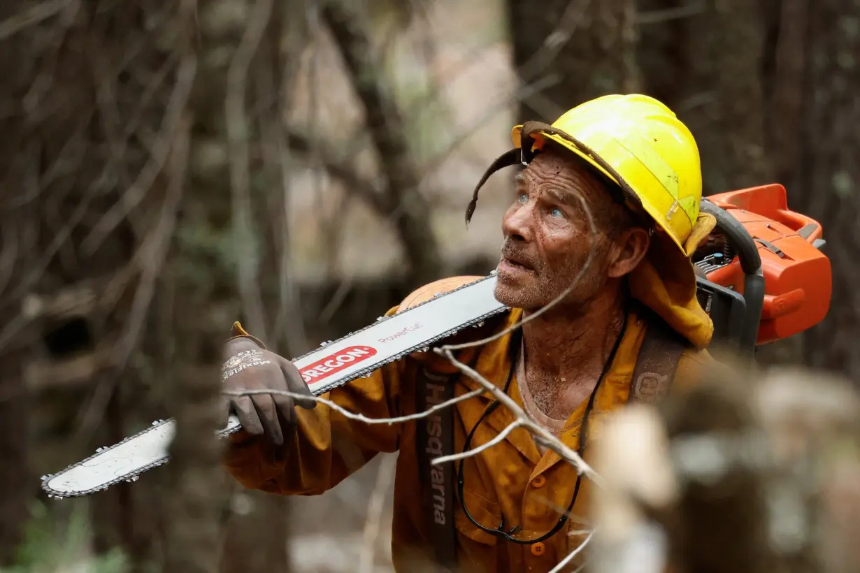 A firefighter thinning trees looks on, ahead of the Park Fire in Mill Creek