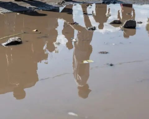 Congolese police officers flee to Uganda as fighting intensifies