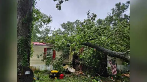 13-year-old killed after tree falls on home during Debby