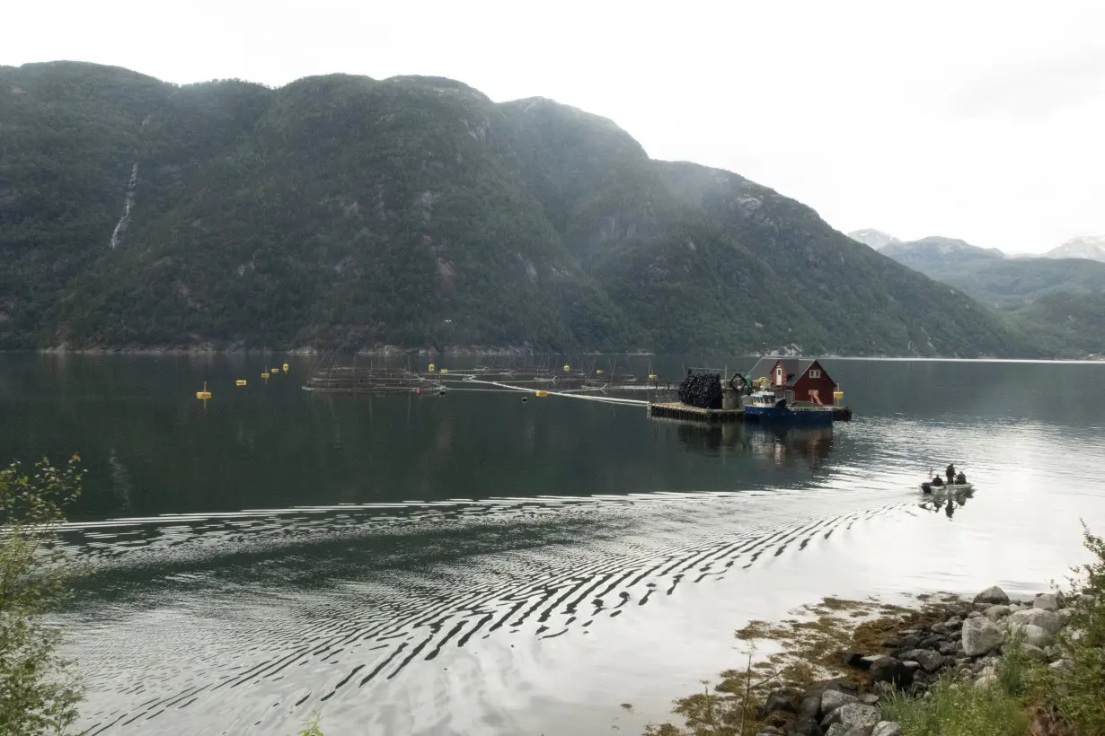 A general view of a salmon fish farm in the Kvinnerahd fjord in Mauranger municipality