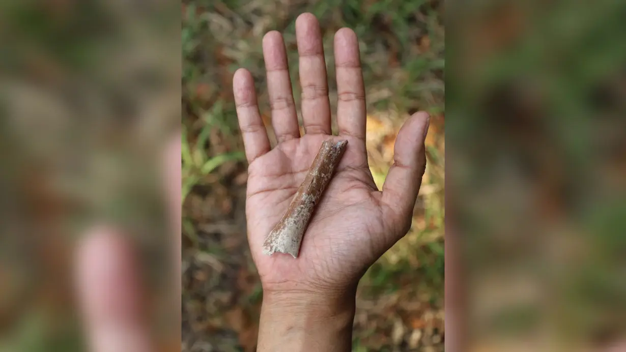 Newly discovered fossils shed light on the origins of curious 'hobbit' humans