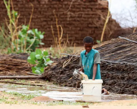 UN appeals for Security Council help to combat famine in Sudan