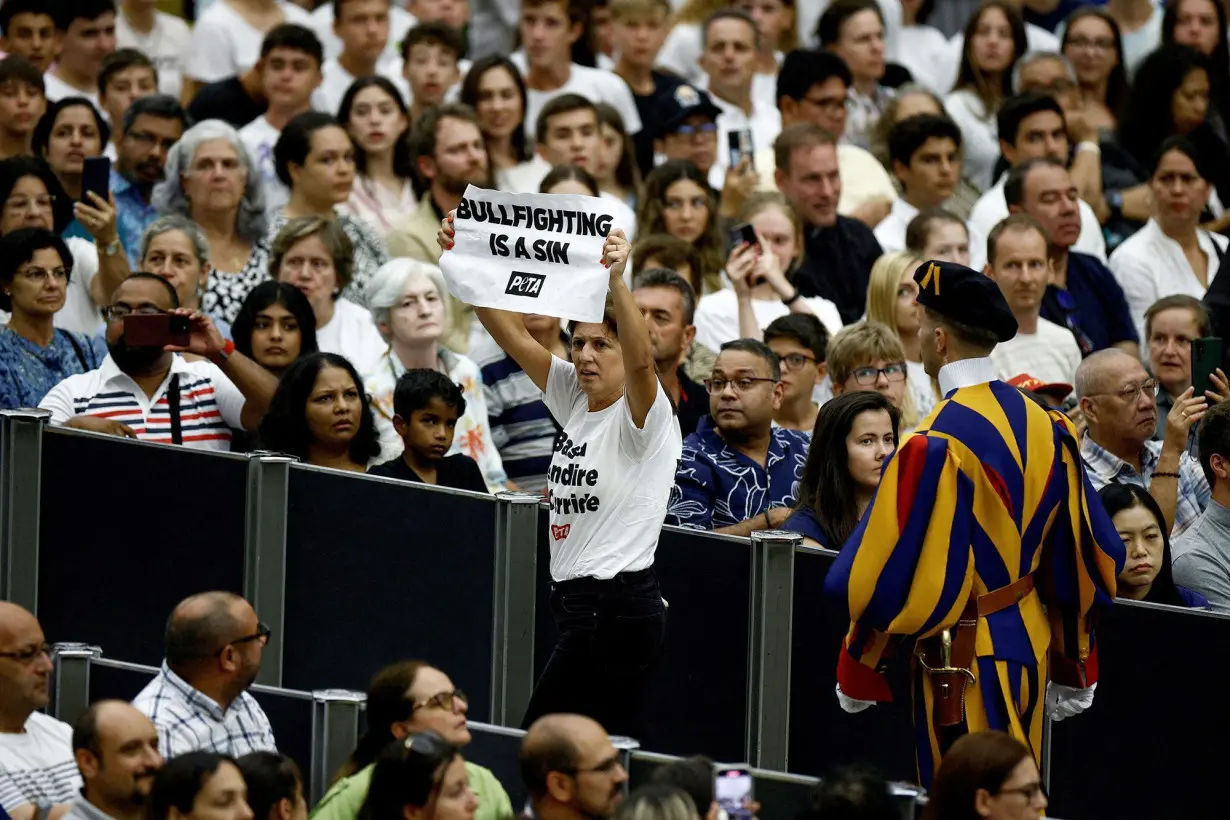 Animal rights activists storm pope's general audience to protest bullfighting