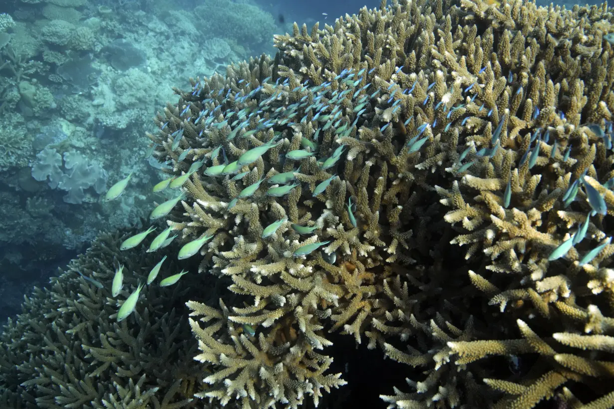 Climate Great Barrier Reef Warming