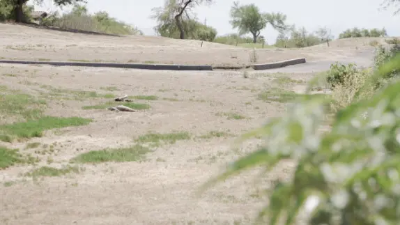 Neighbors voice health concerns over excessive dust on golf course during storms