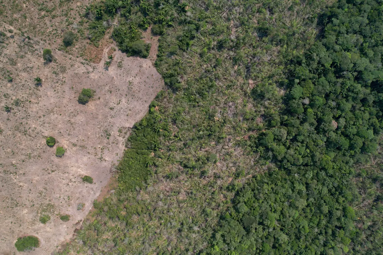 A drone view shows a deforested plot of Brazil's Amazon rainforest in the municipality of Humaita