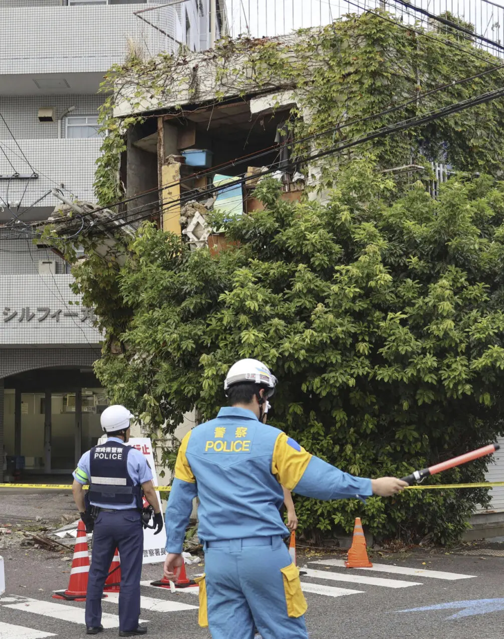 Japan Earthquake